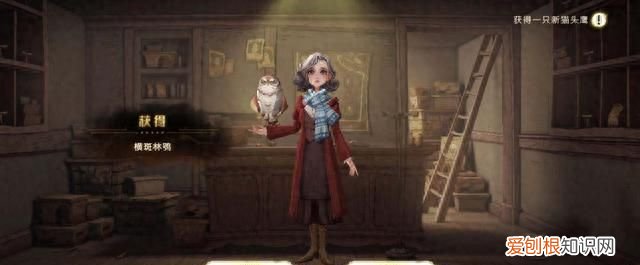 哈利波特魔法觉醒如何切换账号,哈利波特魔法觉醒怎么删除角色