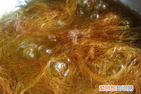 玉米须茶怎么做，玉米须怎么做 玉米须茶怎么做
