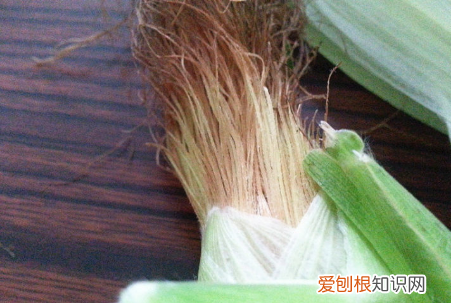 玉米须茶怎么做，玉米须怎么做 玉米须茶怎么做