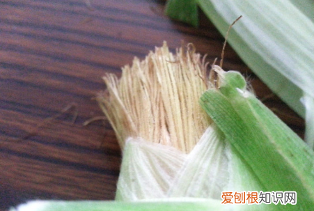玉米须茶怎么做，玉米须怎么做 玉米须茶怎么做