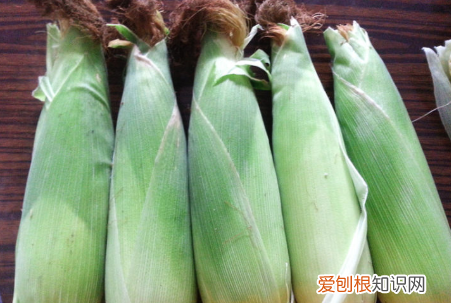 玉米须茶怎么做，玉米须怎么做 玉米须茶怎么做