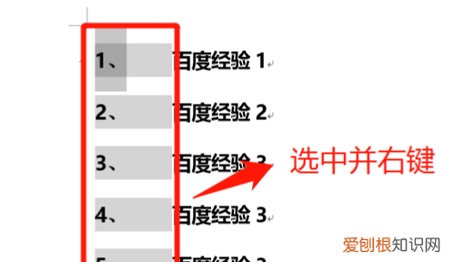文档中的编号及编号格式如何设置