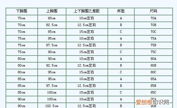 怎么知道自己是什么罩杯,怎样知道自己是什么罩杯的人