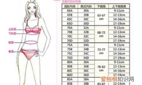 怎么知道自己是什么罩杯，怎样知道自己是什么罩杯的人