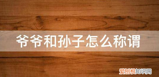 爷爷和孙子的关系称谓，爷爷和孙子的关系叫什么