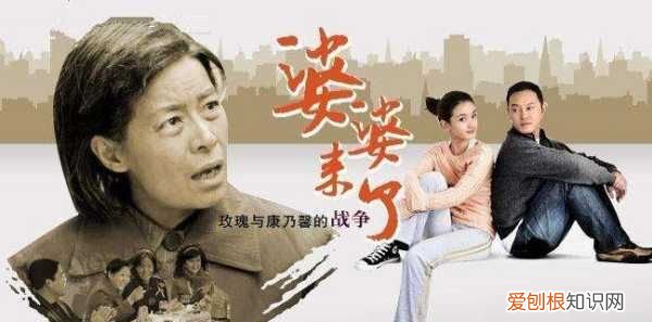 刘小雅是什么电视剧，婆婆来了小雅离婚是第几集在哪里看