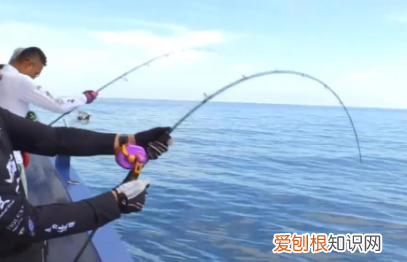 冬天野钓适合钓桥墩，冬天钓什么鱼好钓鱼
