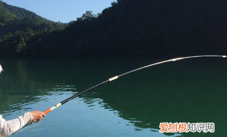 冬天野钓适合钓桥墩,冬天钓什么鱼好钓鱼