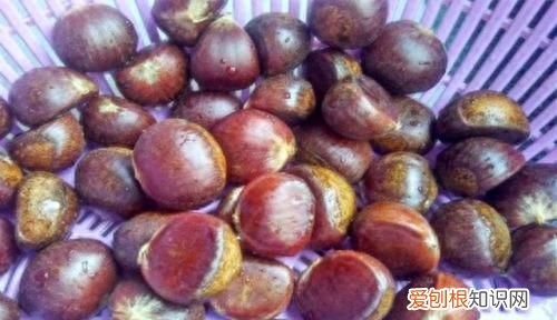 板栗怎么储存冬天也可以吃,板栗怎么保存一年四季都新鲜