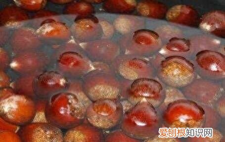 板栗怎么储存冬天也可以吃,板栗怎么保存一年四季都新鲜