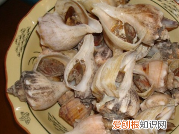 海螺蒸多长时间，蒸海螺需要多长时间最好
