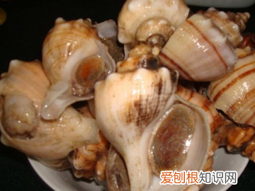 海螺蒸多长时间，蒸海螺需要多长时间最好