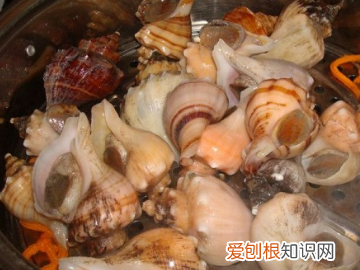 海螺蒸多长时间，蒸海螺需要多长时间最好