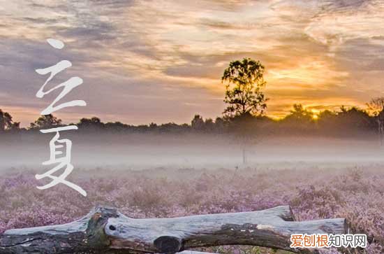 立夏要吃什么特殊的食物 立夏的来历