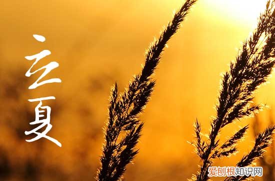 2023年夏天几月份 2023年夏天什么时候