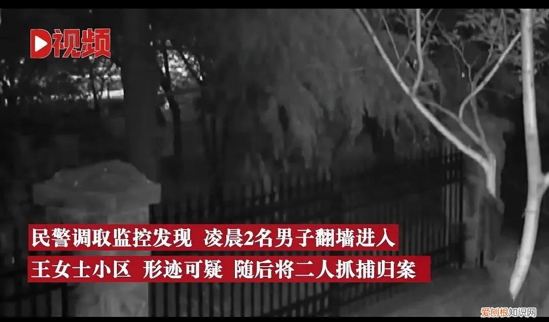 天下奇闻！山东一小偷凭嗅觉定位车库偷24瓶茅台！