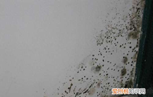 墙面脏了可以用清洁剂清洗吗