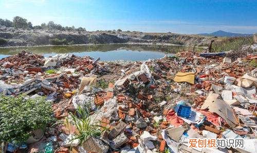 垃圾回收是干什么的，垃圾回收后可以干什么