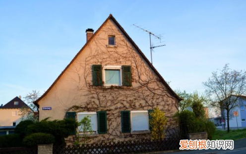 尖尖的什么，尖尖的什么填空