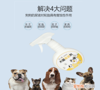 樟脑丸驱狗能管多久，臭球子用水化开能驱狗吗