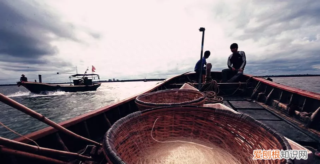 龙涎香是什么为何如此名贵,名贵香料龙涎香