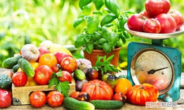 建议中老年人吃5种早餐