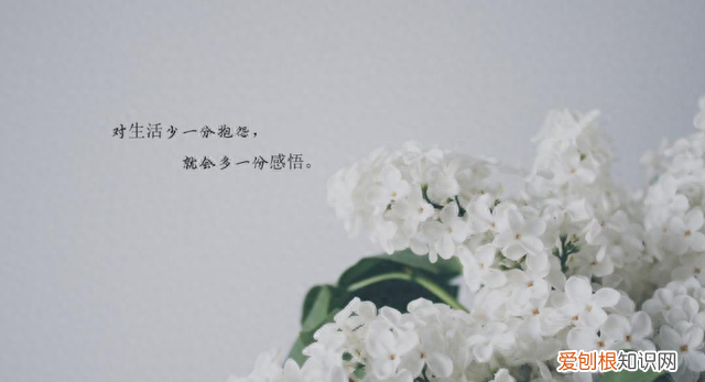 往事如风爱恨随意无愧于心 爱恨随意无愧于心