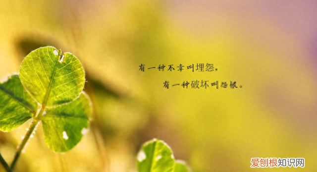 往事如风爱恨随意无愧于心 爱恨随意无愧于心