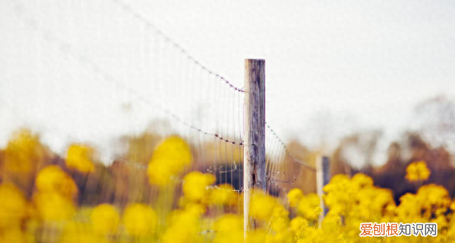 往事如风爱恨随意无愧于心 爱恨随意无愧于心