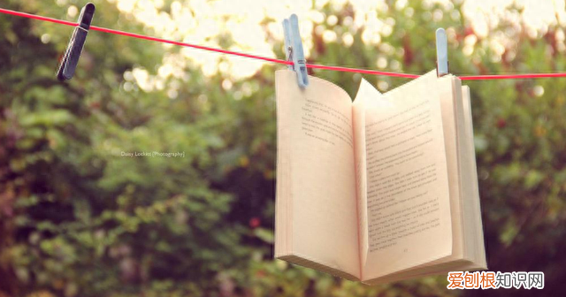 往事如风爱恨随意无愧于心 爱恨随意无愧于心