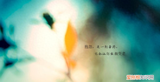 往事如风爱恨随意无愧于心 爱恨随意无愧于心