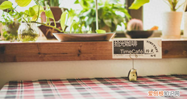 往事如风爱恨随意无愧于心 爱恨随意无愧于心