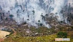 环境污染的危害,环境污染的危害有哪些方面