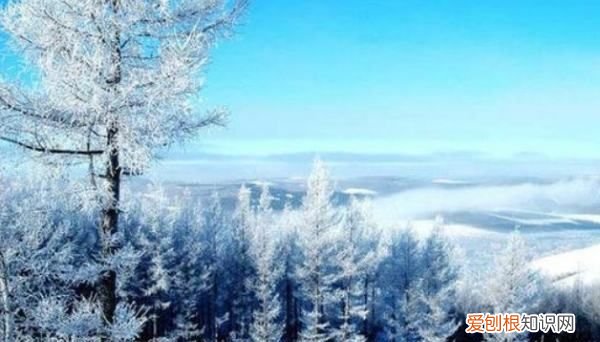 存亡之数九什么意思,什么是数九 数九的简介