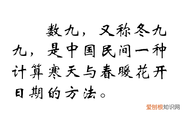 存亡之数九什么意思,什么是数九 数九的简介