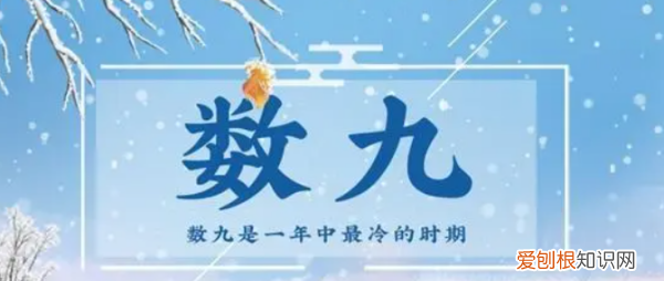 存亡之数九什么意思，什么是数九 数九的简介