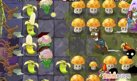 植物大战僵尸2都有什么植物，植物大战僵尸2的植物排名五位