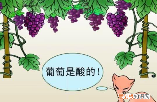 说葡萄酸的狐狸出自于哪个寓言