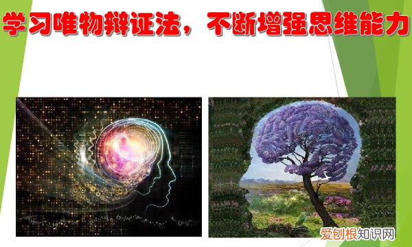 辩证思维方法有哪些，辩证思维主要用到的方法是什么
