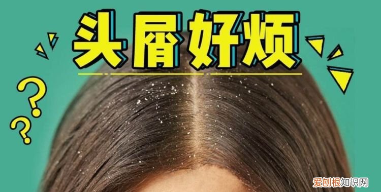 如何除头皮屑,怎样能有效去除头皮屑小妙招