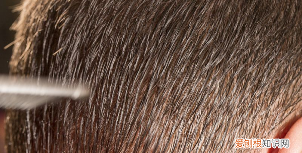 毛囊炎怎么办，头上长红疙瘩毛囊炎怎么引起的