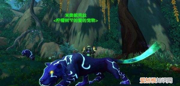 魔兽世界灵魂兽位置和刷新时间，魔兽世界阿拉瑟西斯刷新位置在哪