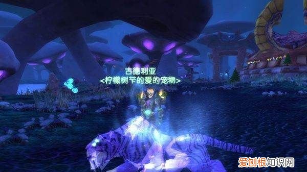 魔兽世界灵魂兽位置和刷新时间，魔兽世界阿拉瑟西斯刷新位置在哪