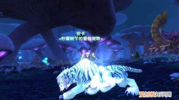 魔兽世界灵魂兽位置和刷新时间，魔兽世界阿拉瑟西斯刷新位置在哪