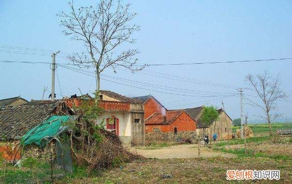 宅基地所有权属于谁,宅基地使用权有哪些特征