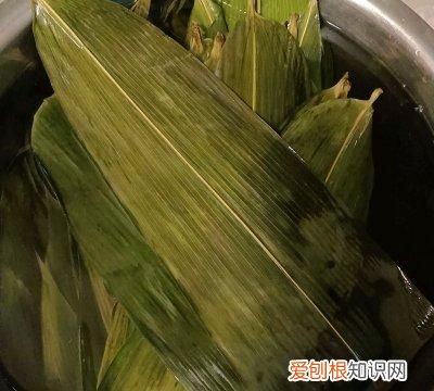 鲜猪肉粽子的做法