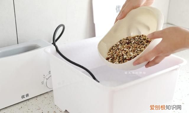 黄金八宝粥怎么煮,黄金八宝粥正宗做法