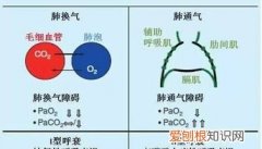 氧分压是多少kpa，正常的氧分压和二氧化碳分压
