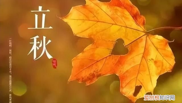 立秋后蚊子太厉害了怎么办 立秋后蚊子会变多还是变少