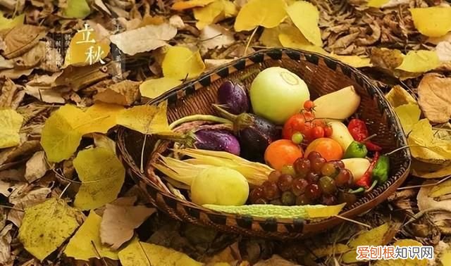 立秋后蚊子太厉害了怎么办 立秋后蚊子会变多还是变少